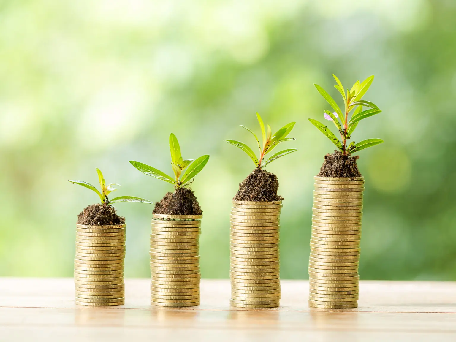 How to Build a Sustainable Future with a Green Investment Portfolio